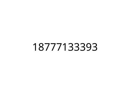 18777133393