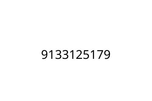 9133125179