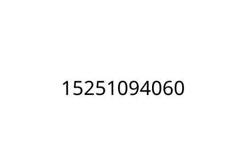 15251094060