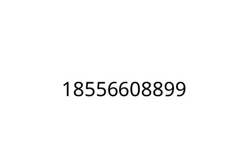 18556608899