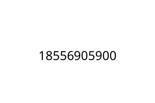 18556905900
