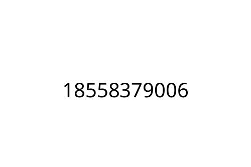 18558379006
