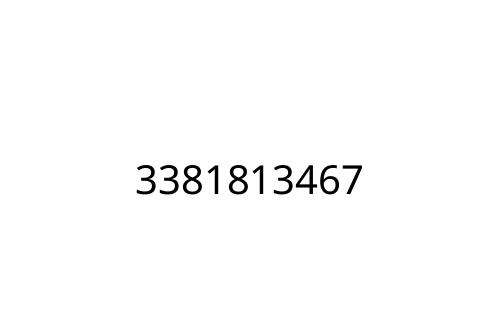 3381813467