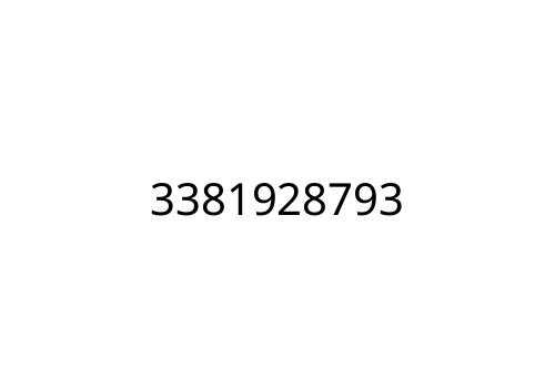 3381928793