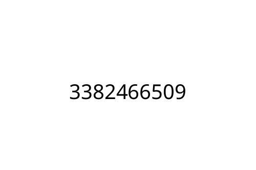 3382466509