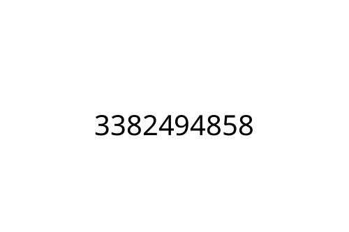3382494858