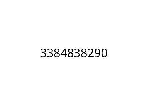 3384838290