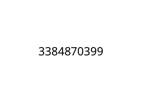 3384870399