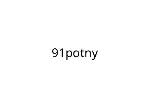 91potny