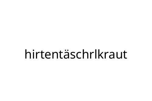 hirtent_schrlkraut