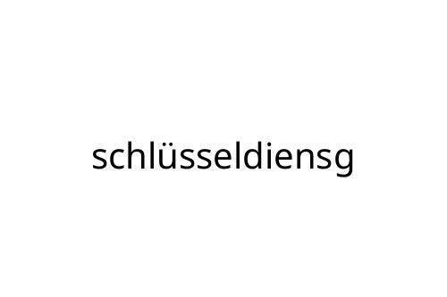 schl_sseldiensg
