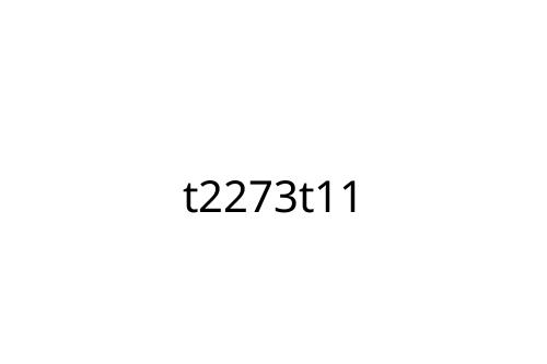 t2273t11