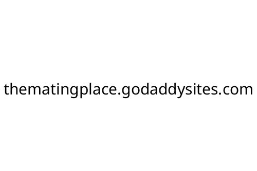 thematingplace_godaddysites_com