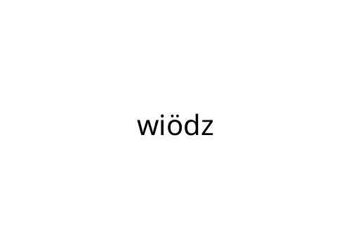 wi_dz