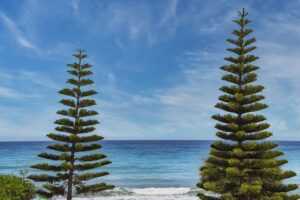 zahongdos eyeliner pencil