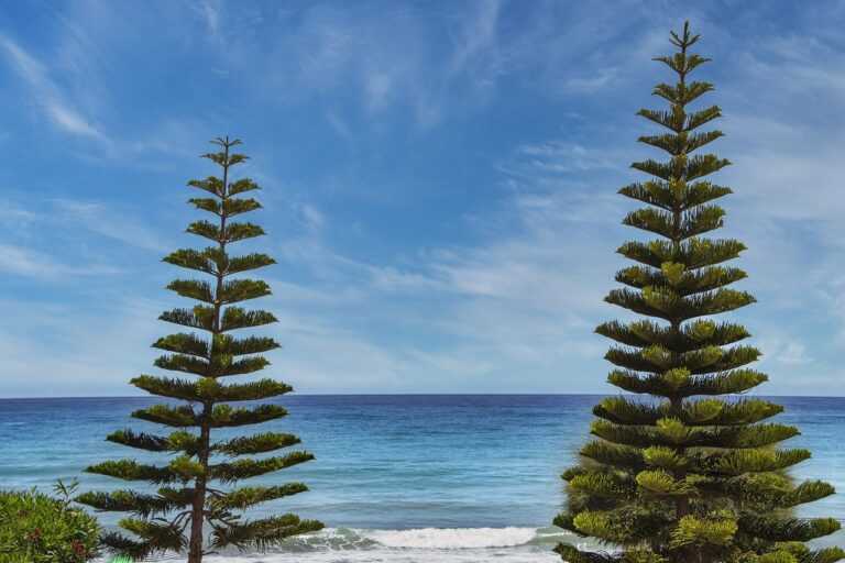 zahongdos eyeliner pencil