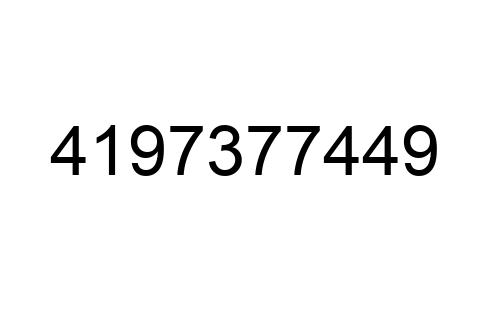 4197377449