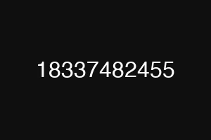 18337482455