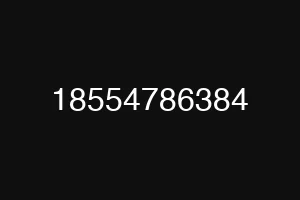 18554786384