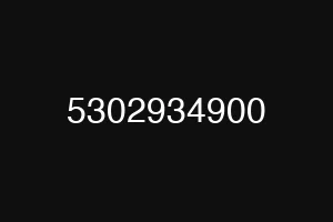 5302934900