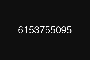 6153755095