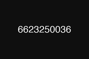 6623250036