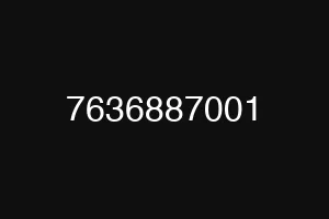 7636887001