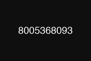 8005368093