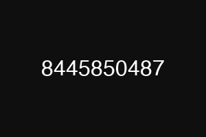 8445850487
