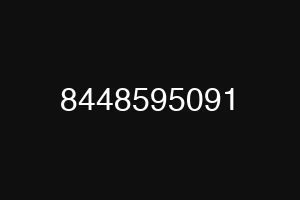8448595091
