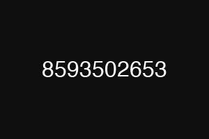 8593502653