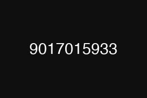 9017015933