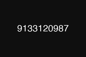 9133120987