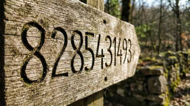 8285431493