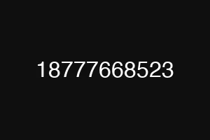 18777668523