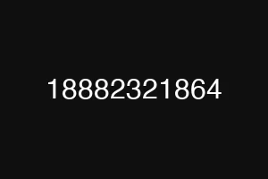 18882321864