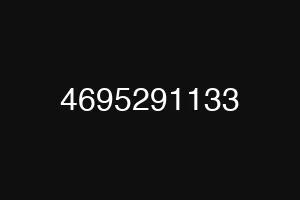 4695291133