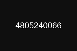 4805240066