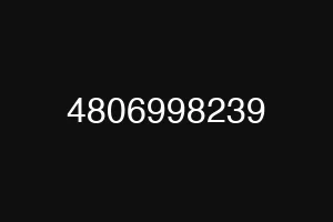 4806998239