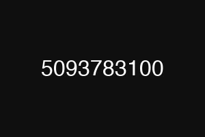 5093783100