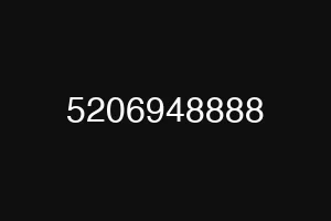 5206948888