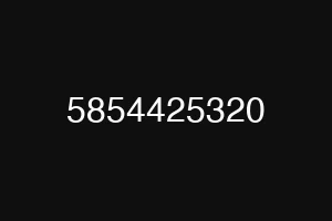 5854425320