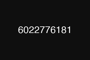6022776181