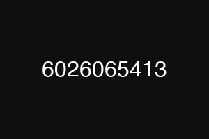 6026065413