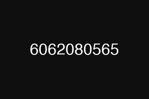 6062080565