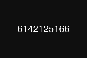 6142125166