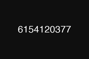 6154120377