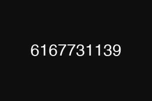 6167731139