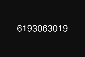 6193063019
