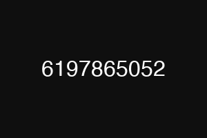 6197865052